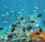 Burgers' Zoo WDR